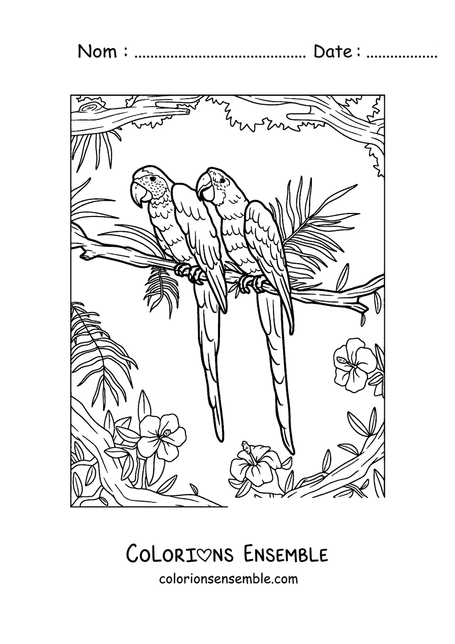Coloriage de deux perroquets perchés ensemble sur une branche