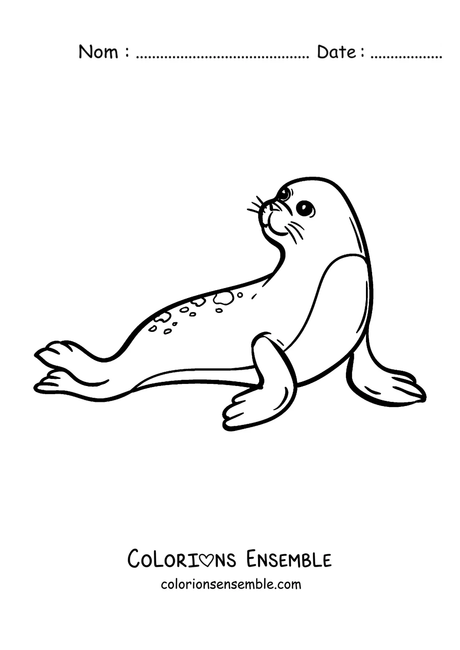 Coloriage d’un phoque au repos sur la glace
