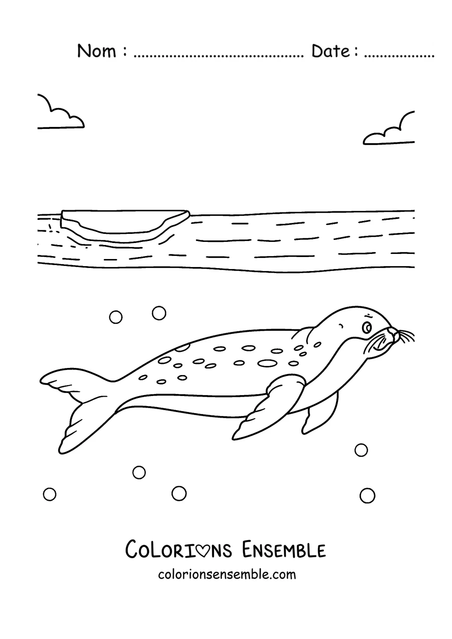 Coloriage d’un léopard de mer nageant