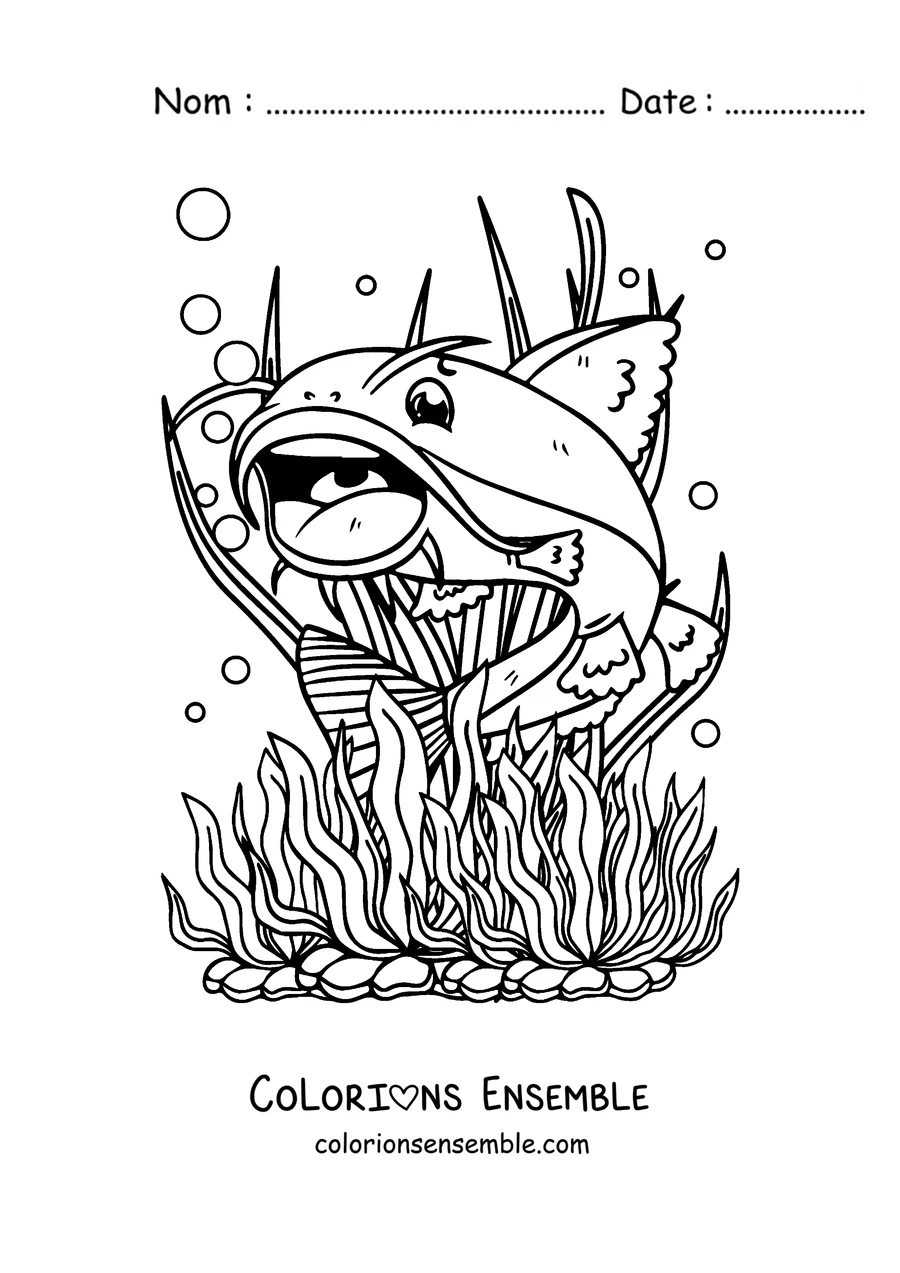 Coloriage d'un poisson-chat avec la bouche grande ouverte