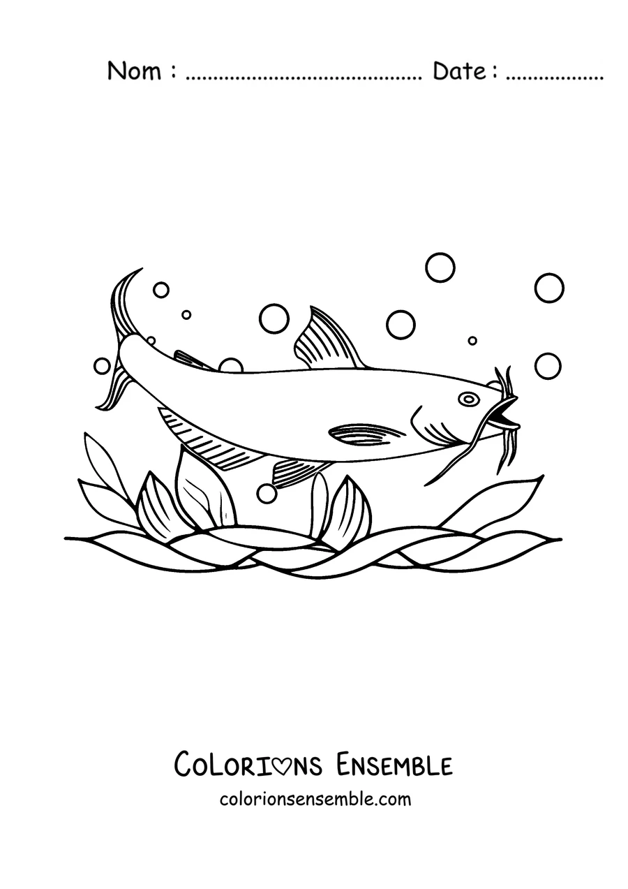 Coloriage d'un poisson-chat aux grandes nageoires parmi les bulles