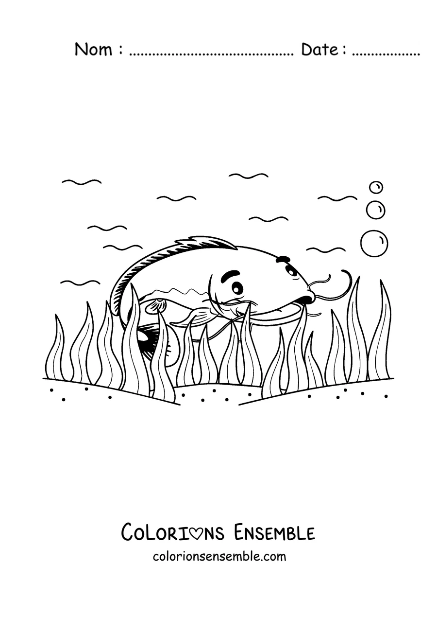 Coloriage d'un poisson-chat nageant parmi les herbes