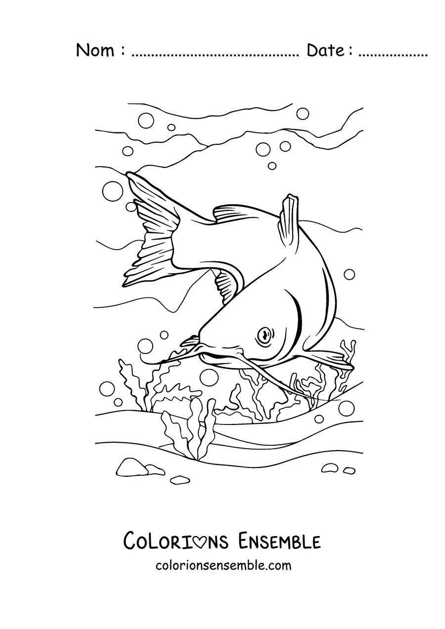 Coloriage d'un poisson-chat plongeant vers le fond