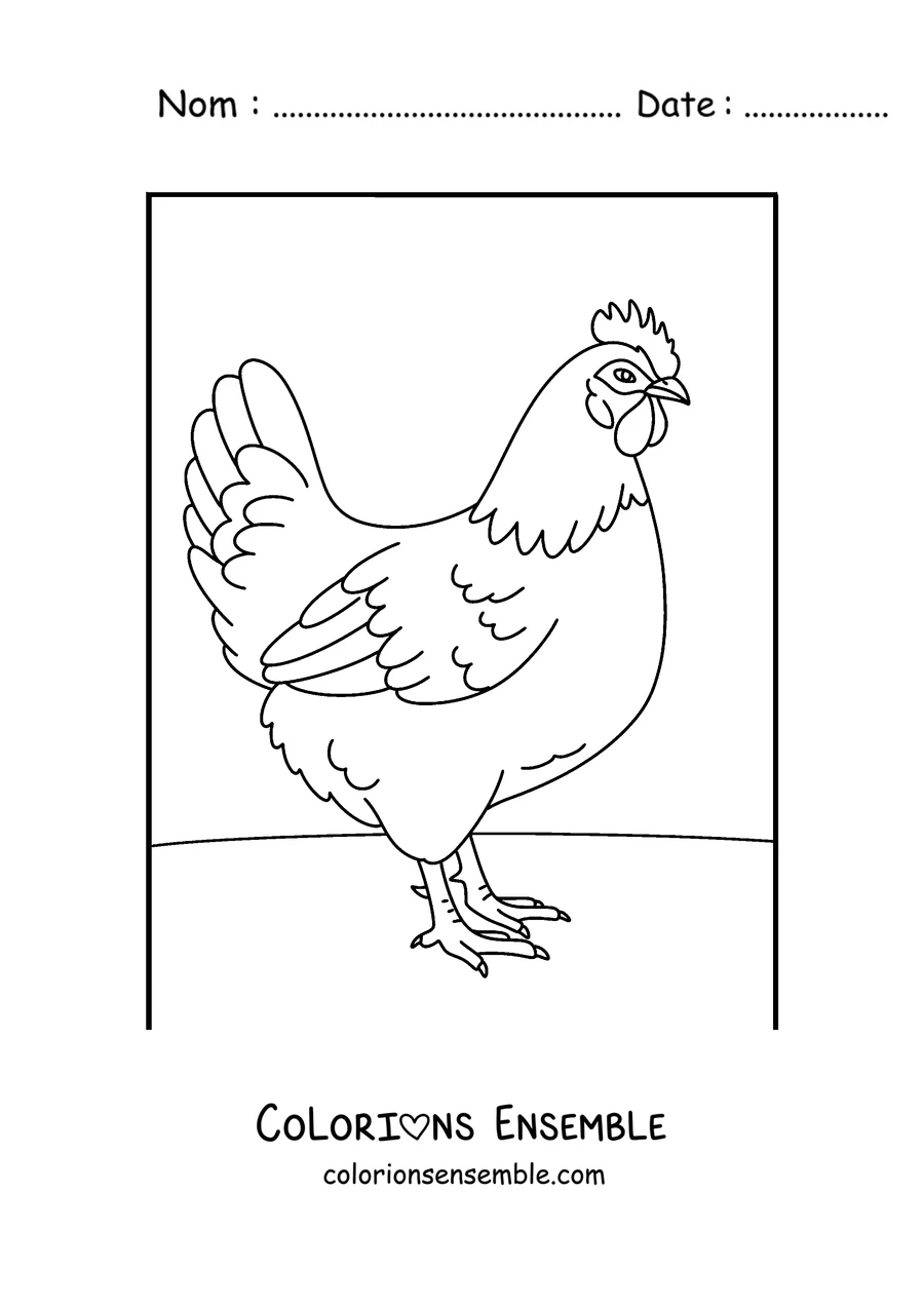 Coloriage d'une poule realiste de profil