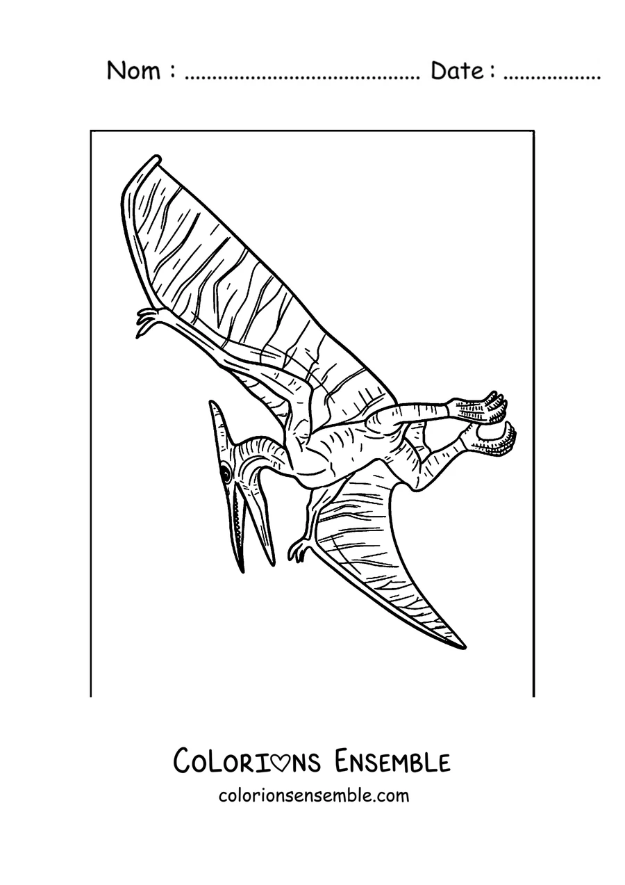 Coloriage d'un ptérodactyle posé avec des ailes de peau détaillées