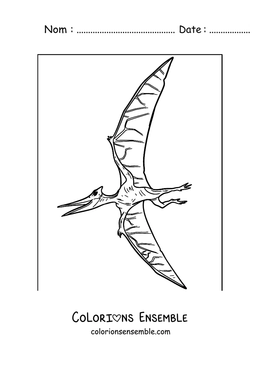 Coloriage d'un ptérodactyle simple volant dans le ciel