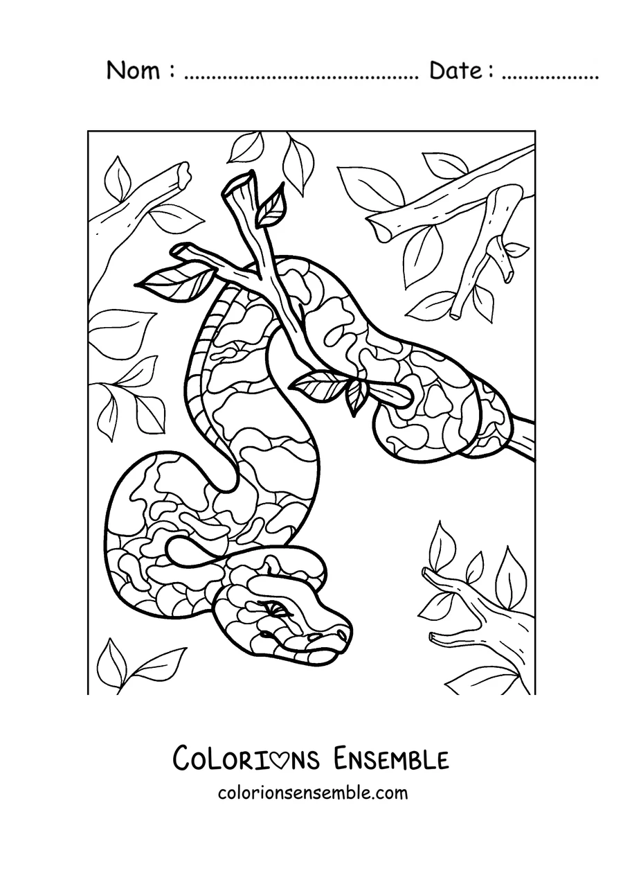 Coloriage d'un python suspendu à un arbre
