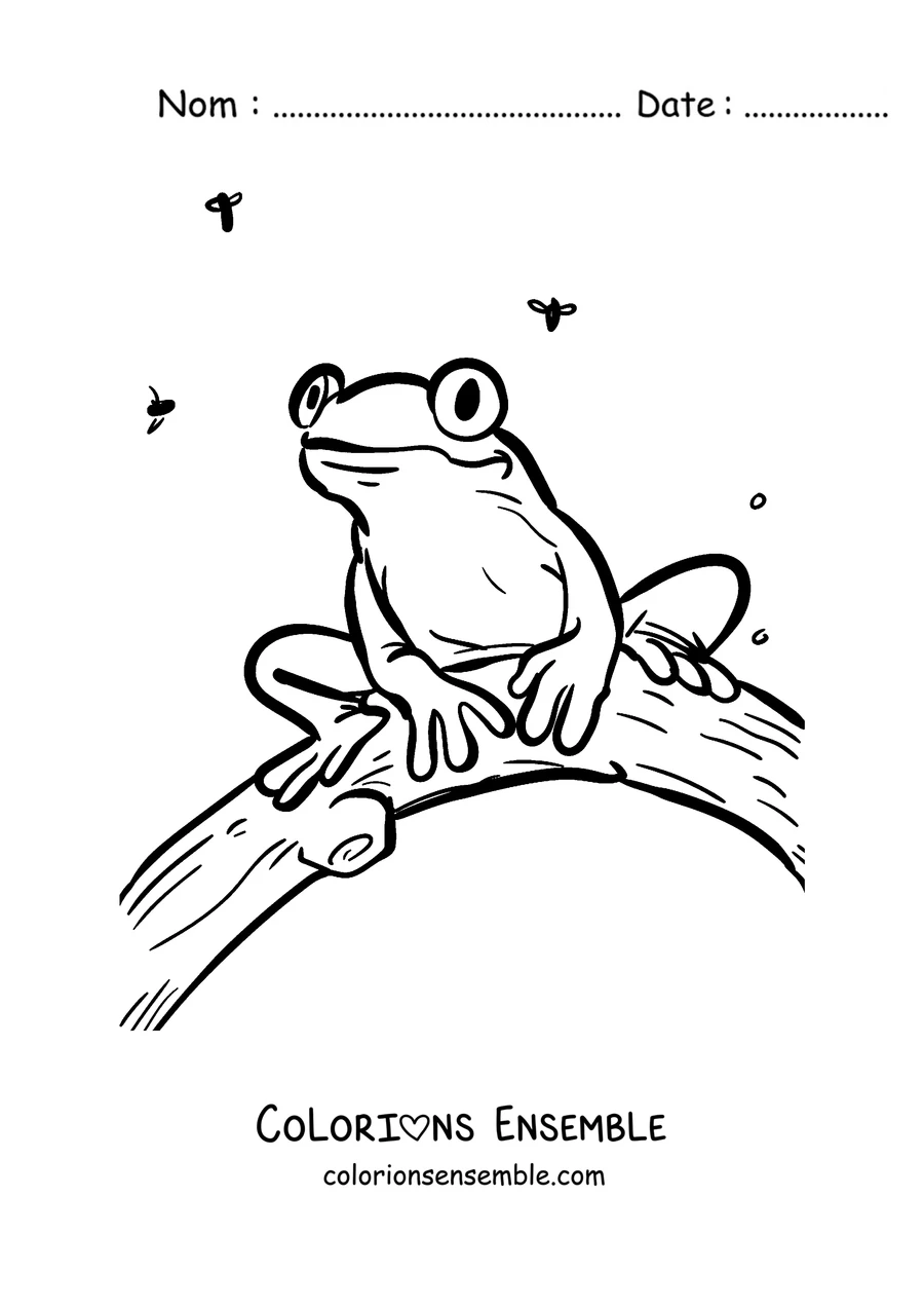 Coloriage d'une rainette sur une branche entourée d'insectes