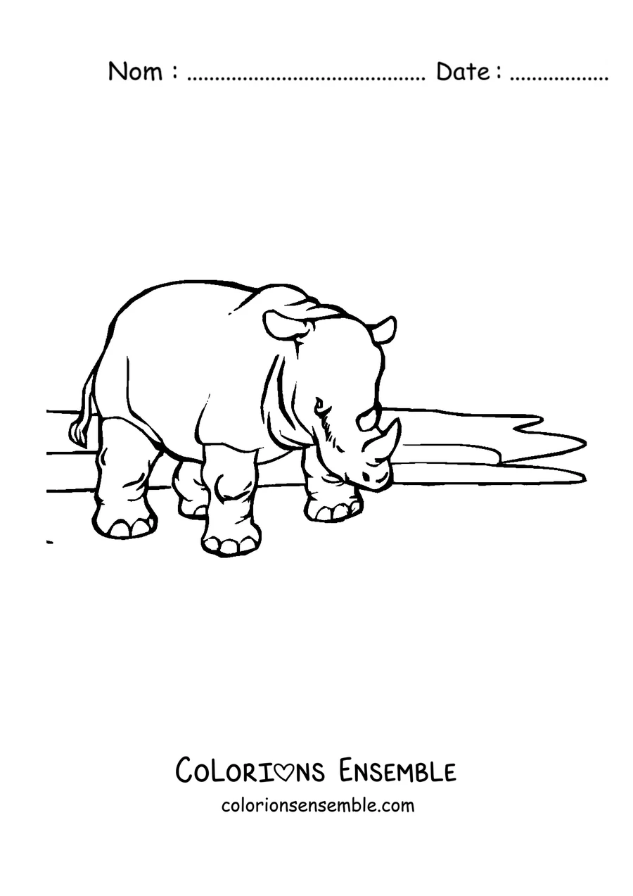 Coloriage d'un rhinocéros de profil
