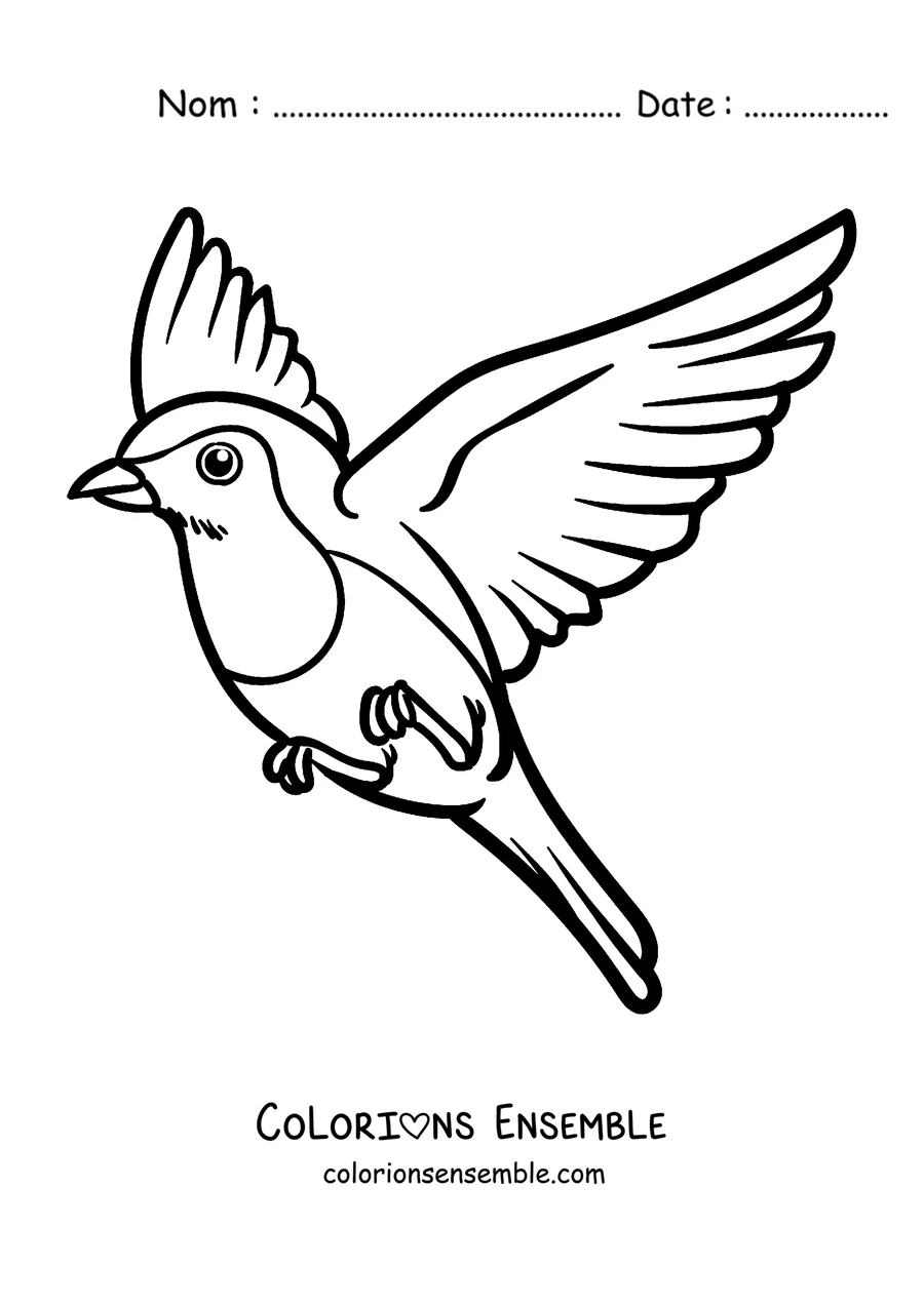 Coloriage d'un rouge-gorge en vol, les ailes déployées