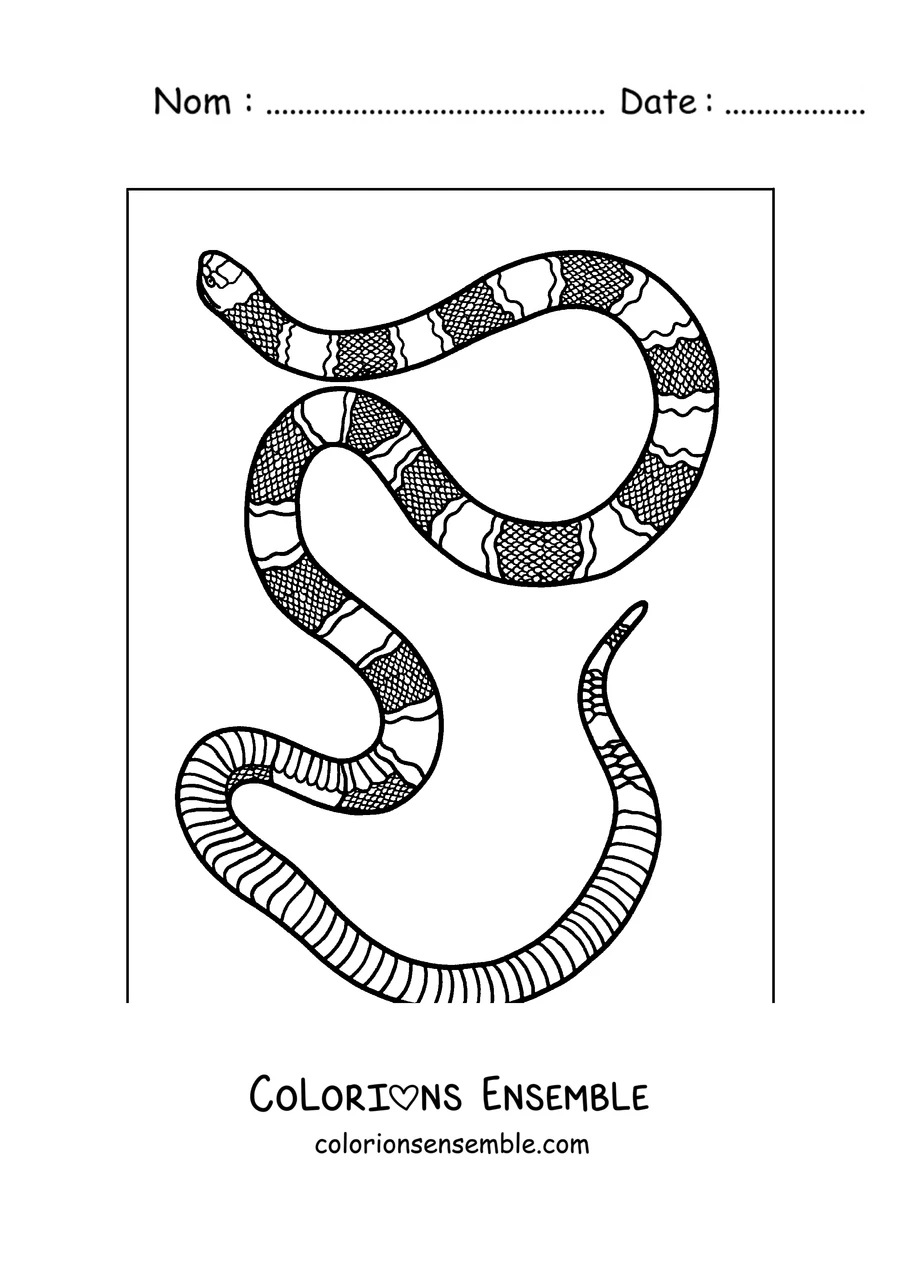 Coloriage d'un serpent corail à anneaux