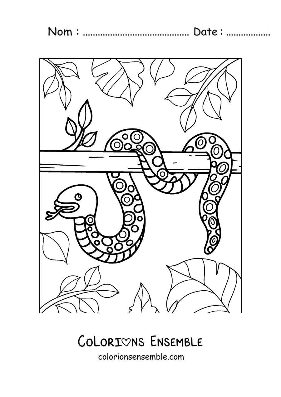 Coloriage d'un serpent enroulé sur une branche
