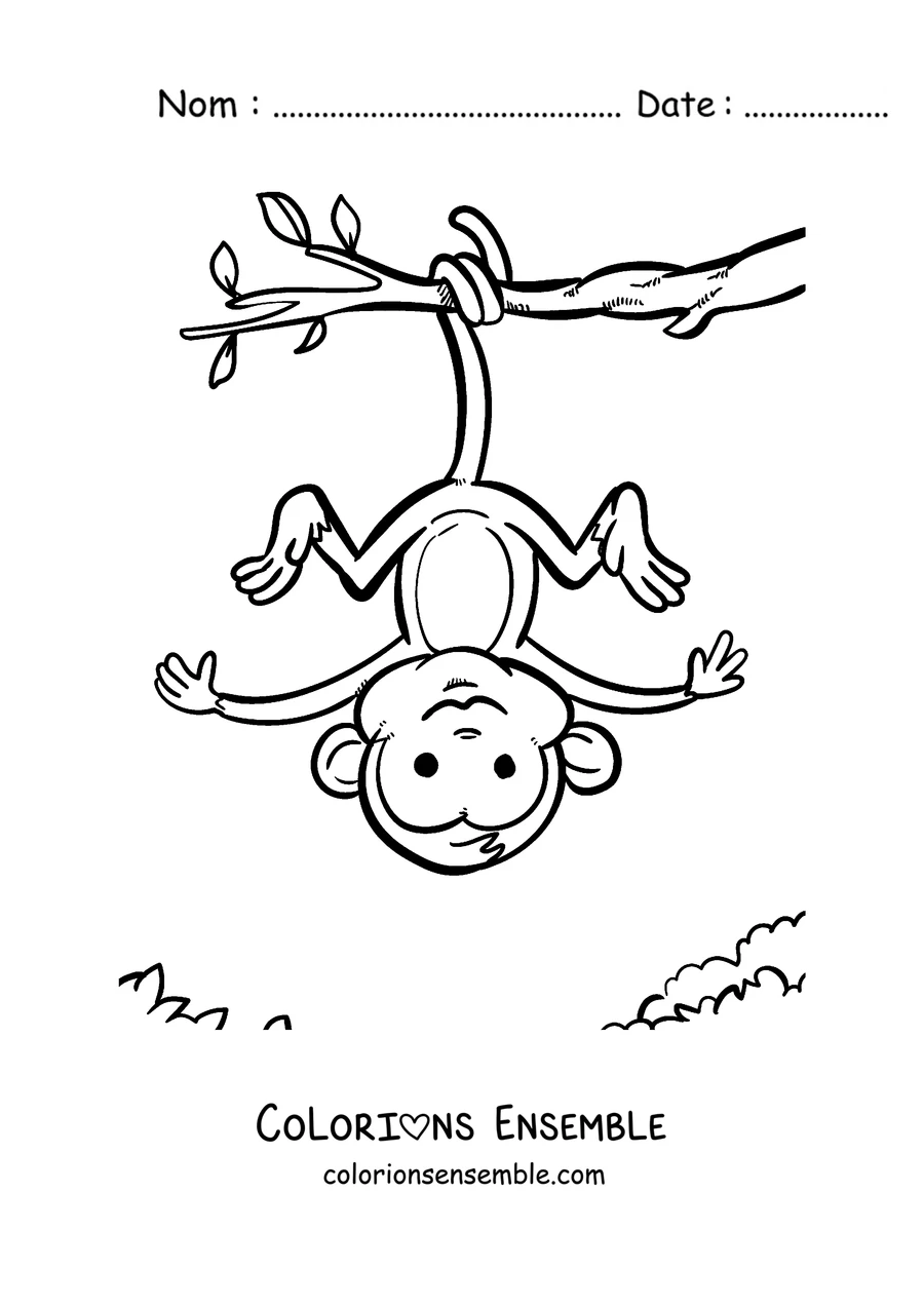 Coloriage d'un singe suspendu la tête en bas à une branche