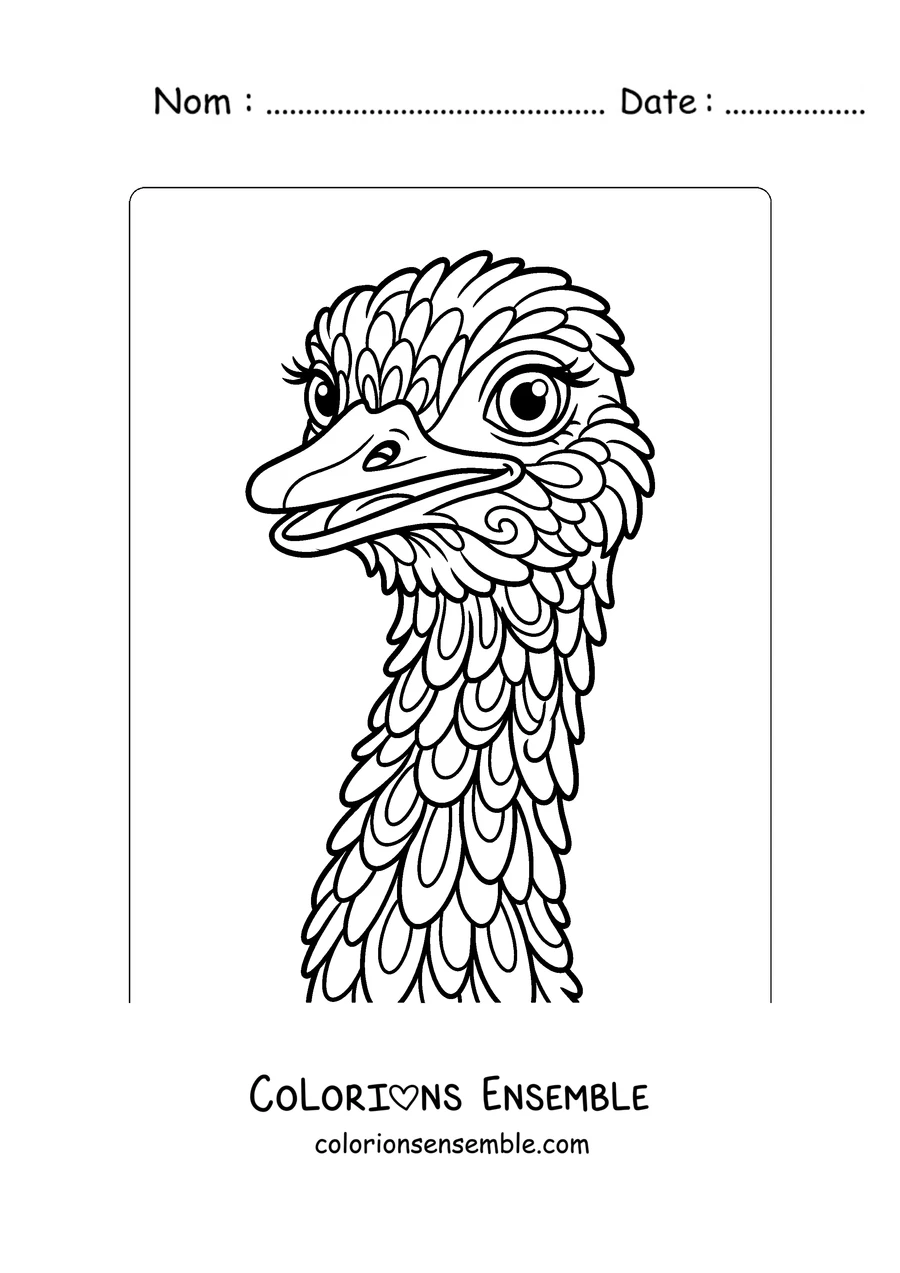 Coloriage d'une tête d'autruche en gros plan