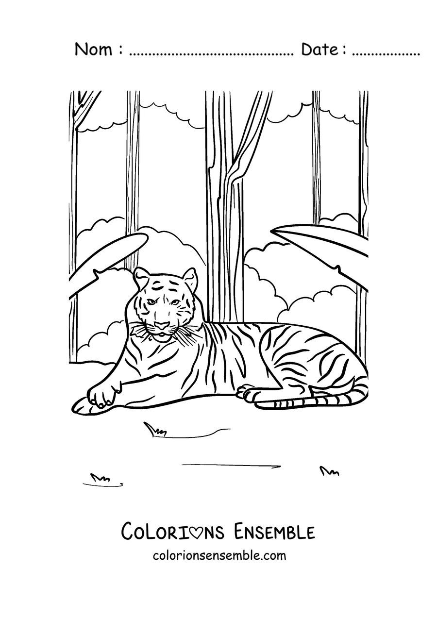 Coloriage d'un tigre au repos dans la jungle