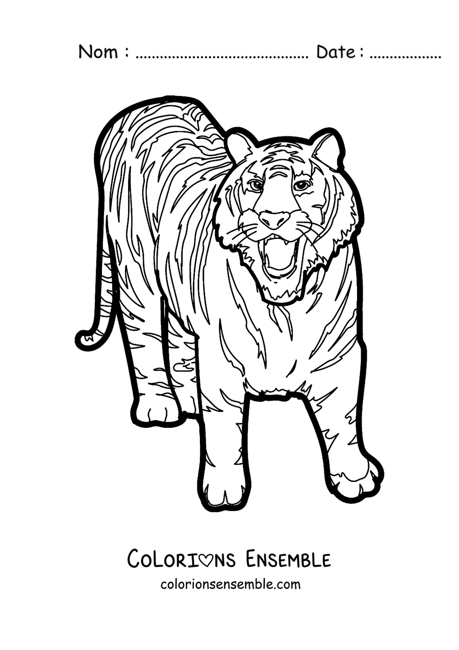 Coloriage d'un tigre marchant et montrant les dents