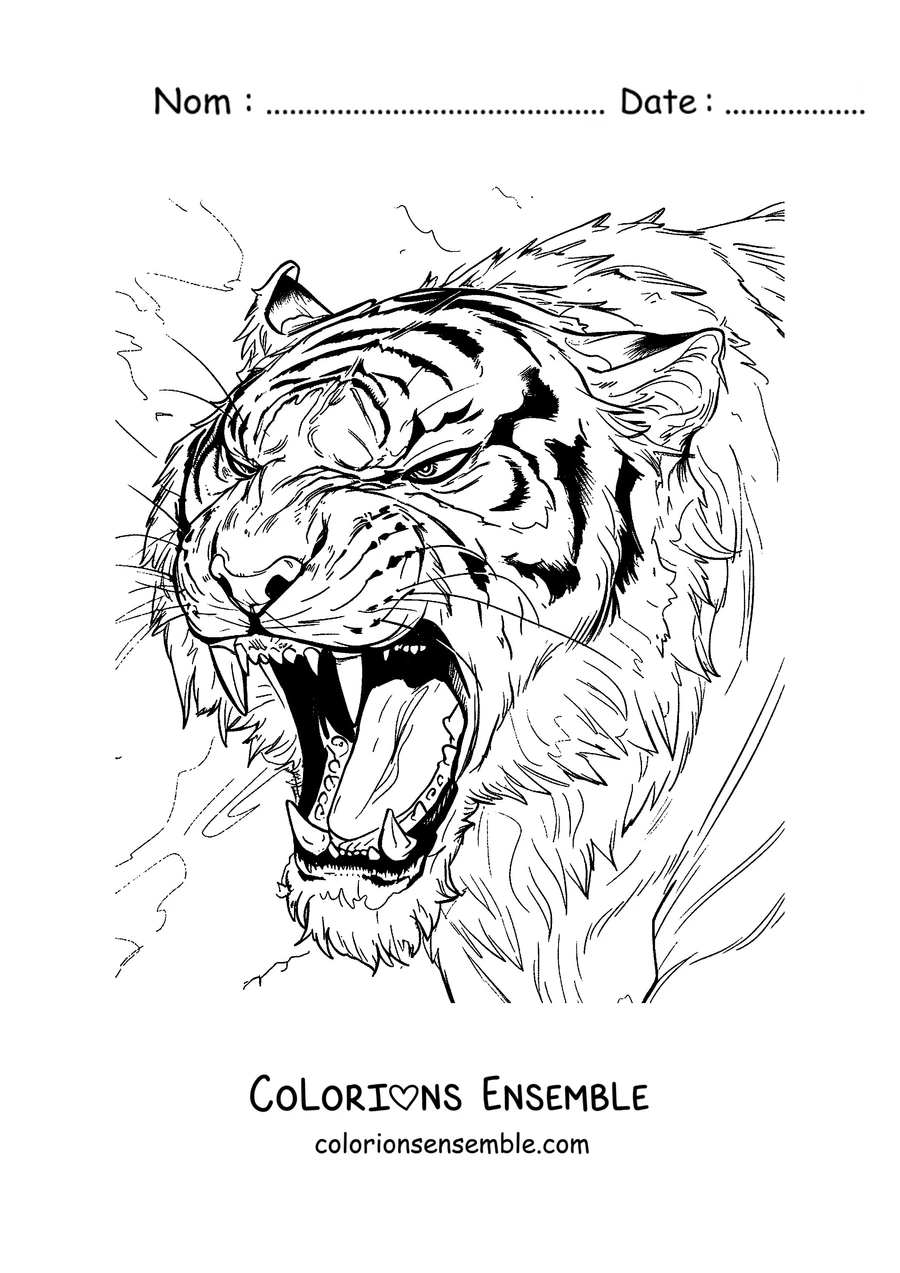 Coloriage d'une tête de tigre rugissant