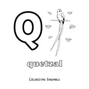 Image a colorier de la lettre Q comme quetzal