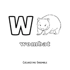 Image a colorier de la lettre W comme wombat
