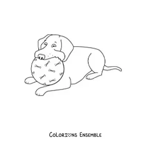 Image à colorier d’un labrador allongé mordillant une balle