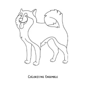 Image à colorier d’un husky