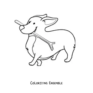 Image à colorier d’un corgi mordillant une branche