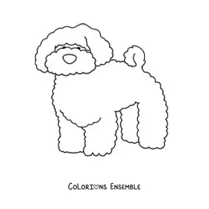Image à colorier d’un caniche