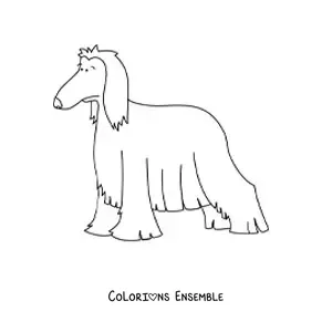 Image à colorier d’un lévrier afghan