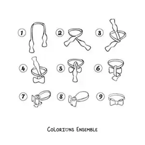 Image à colorier des étapes pour faire le nœud d'un nœud papillon