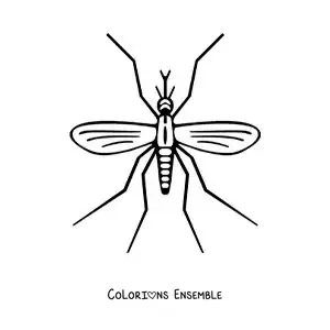 Image à colorier d’un moustique de la dengue