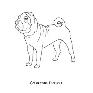 Image à colorier d’un shar-peï