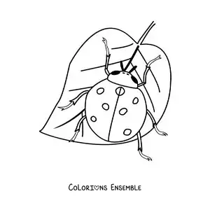 Image à colorier d’une coccinelle réaliste sur une feuille
