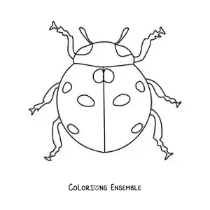 Image à colorier d’une coccinelle réaliste