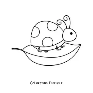 Image à colorier d’une coccinelle rigolote sur une feuille