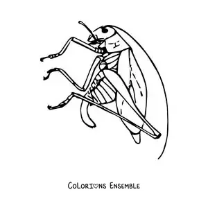 Image à colorier d’une sauterelle réaliste