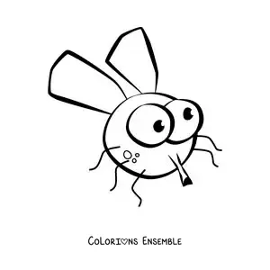 Image à colorier d’une mouche rigolote et facile