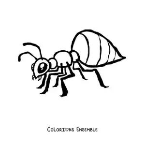 Image à colorier d’une fourmi facile