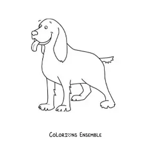 Image à colorier d’un cocker spaniel