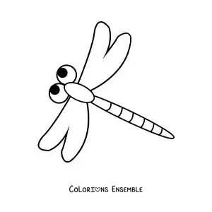 Image à colorier d’une libellule facile