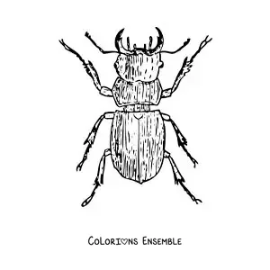 Image à colorier d’un bousier réaliste
