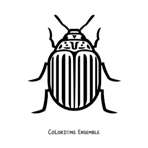 Image à colorier d’un doryphore facile