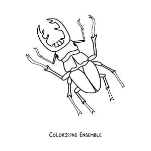 Image à colorier d’un lucane