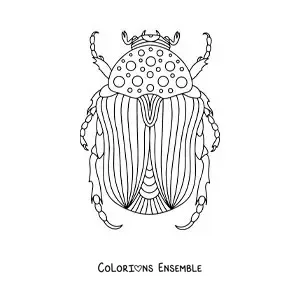 Image à colorier d’un grand scarabée