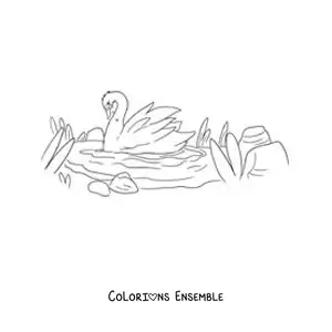 Image à colorier du Vilain Petit Canard transformé en un beau cygne