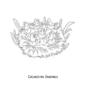 Image à colorier du Vilain Petit Canard et de ses frères qui brisent leur coquille