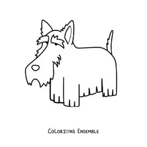 Image à colorier d’un terrier écossais