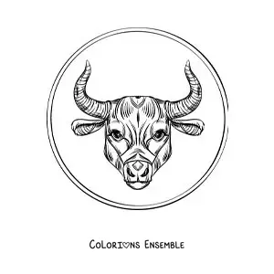 Image à colorier d’un taureau du signe du Taureau réaliste