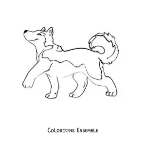 Image à colorier d’un husky qui marche