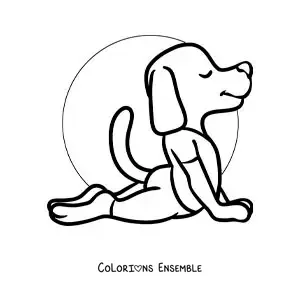 Image à colorier d'un chien dessiné qui fait la posture du cobra en yoga