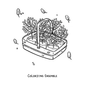 Image à colorier de plantes prêtes à être repiquées dans un panier